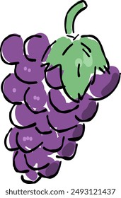 Illustration of grapes harvested in autumn.