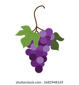 Ilustración del elemento aislado de uvas