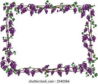 Illustration of grapes and ivy in a frame design element.  File contains no gradients.