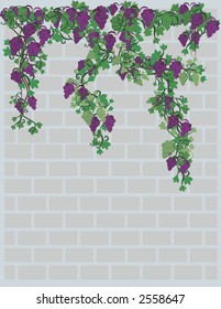 Illustration of grapes and ivy on a brick wall with grunge texture. File contains no gradients.