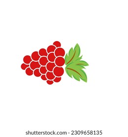 Illustration of grapes with leaves