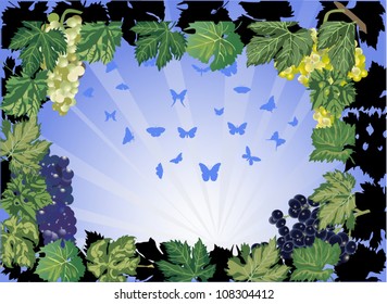 Illustration with grapes and leaves on blue background