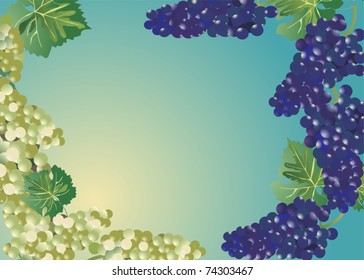 Illustration with grapes and leaves on light background