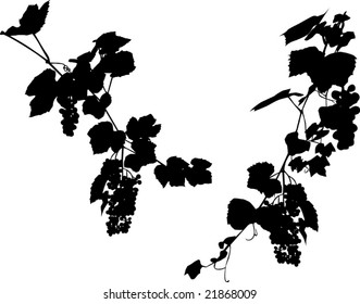 16,691 Vineyard silhouette Images, Stock Photos & Vectors | Shutterstock