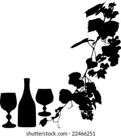 Illustration with grapes and leaves on white background