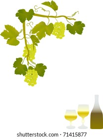 Illustration with grapes and leaves on white background