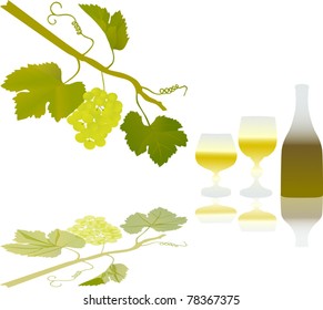 Illustration with grapes and leaves on white background