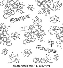 Illustration grapes on white backdrop. Sweet fruit. Vector decorative background. Outline illustration.