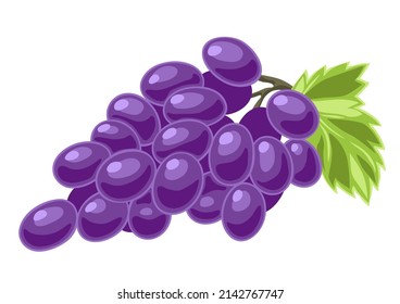 Illustration of grapes. Ripe fruit. Object for food industry.