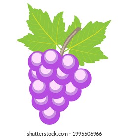 Una ilustración de las uvas, serán muy adecuadas para diversos fines