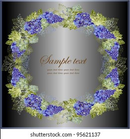 Illustration grapevine. Vintage background with grape branch .