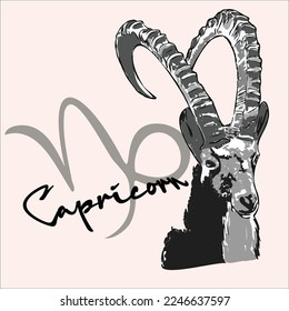 Illustration graphic of Capricorn Zodiac sign with image mountain goat and star sign. December 22 to January 20. 
Suitable design for postcard, wishes card, quotes card , birthday card etc