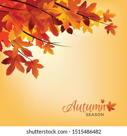 Illustration for graphic design of Autumn's Season on gradient background - Vector.