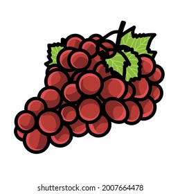 Illustration graphic of grape with white background