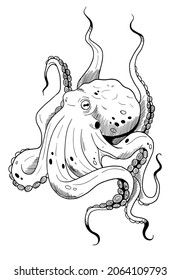 illustration with graphic hand drawn octopus in black and white colours