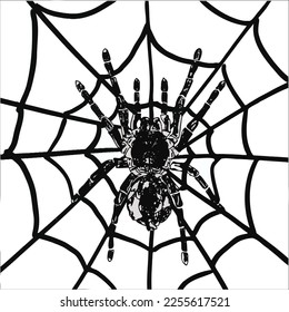 
Illustration graphic image of spider on spider web in black and white color.
Suitable design for t-shirt, tattoo design, card, logo etc