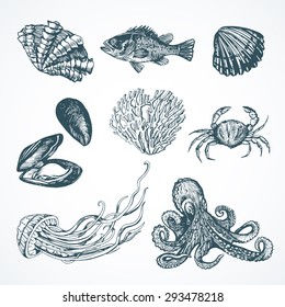 Illustration Graphic set with marine life. Vector illustration. Illustration for greeting cards, invitations, and other printing projects.