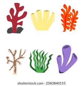 Illustration graphic vector coral reef set, aquatic plant