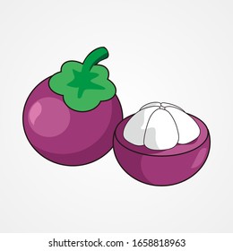 Illustration graphic vector of fruit - mangosteen, mangosteen vector.