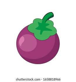 Illustration graphic vector of fruit - mangosteen, mangosteen vector.