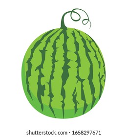 Ilustración vectorial gráfico de Fruta - sandía, vector de sandía sobre fondo blanco.