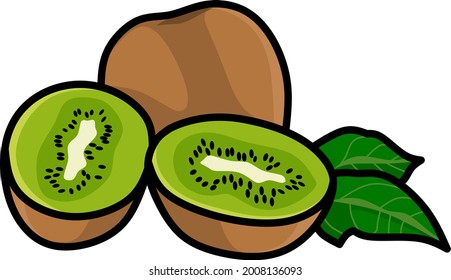 Vector gráfico de ilustración de kiwi con fondo blanco