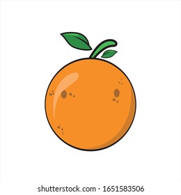 Illustration graphic vector of orange fruit on white background, citrus,orange.