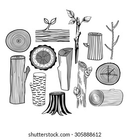 Illustration with graphical trees. Timber and wood