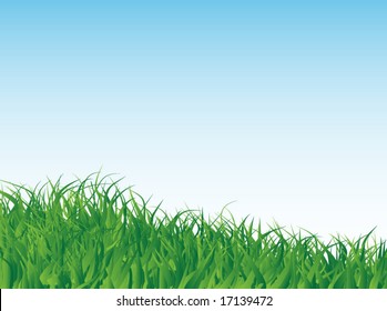 Illustration of grass