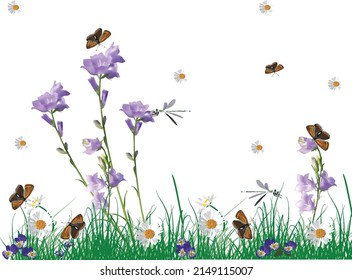 illustration with grass and chamomile flowers isolated on white background