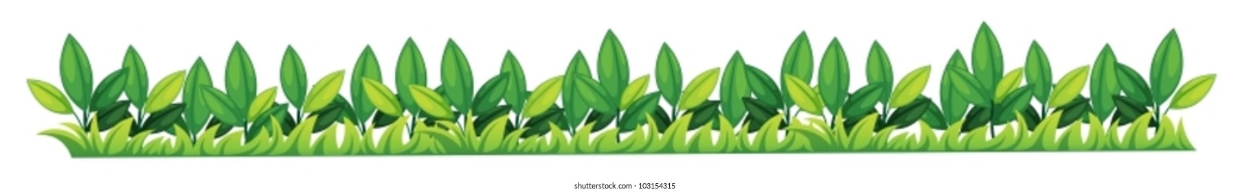 Illustration of a grass texture
