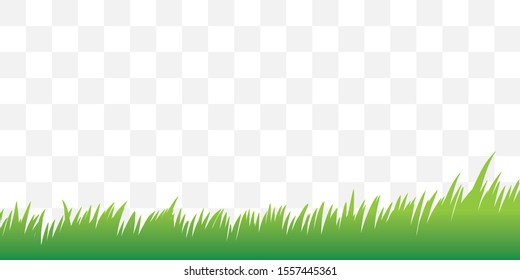 illustration of grass with transparent background