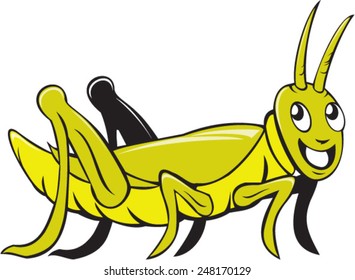 Illustration of a grasshopper crawling viewed from the side set on isolated white background done in cartoon style. 