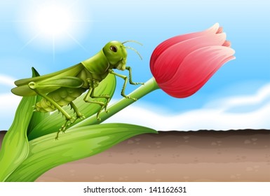 Illustration of a grasshopper and the flower bud