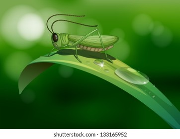 Illustration of a grasshopper in a long leaf