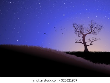Illustration of grassland at dusk