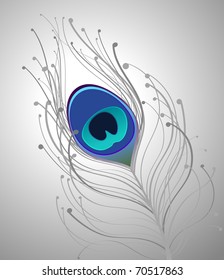 illustration with gray and blue peacock feather