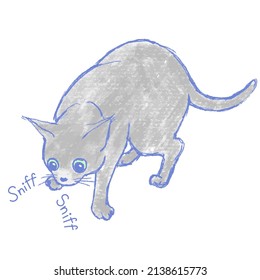 Illustration of a gray cat sniffing and sniffing.