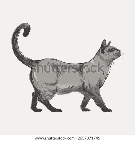 Illustration of a gray cat walking. The cat has a long tail and sleek fur. Gray cat, walking cat, sleek fur, and long tail are key features. Vintage pet illustration vector.