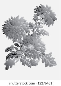 illustration with gray chrysanthemum on white background