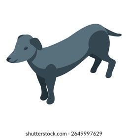 Ilustração de um cão dachshund cinzento de pé sobre um fundo branco