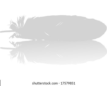 ilustración con pluma gris sobre fondo blanco