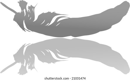 illustration with gray feather on white background