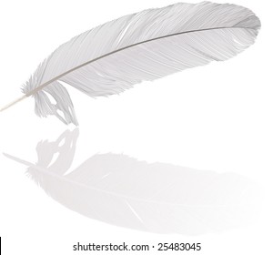 illustration with gray feather on white background
