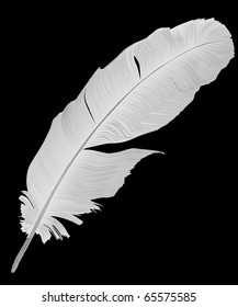illustration with gray feather on white background