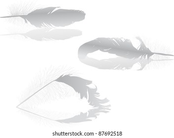 ilustración con plumas grises sobre fondo blanco