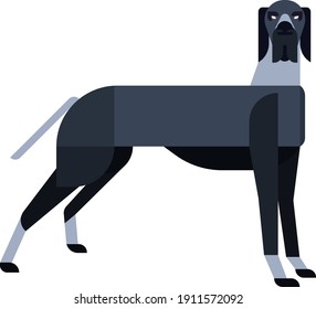 illustration of a great dane breed