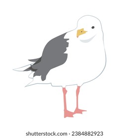 Illustration of great grey gull, Vector illustration