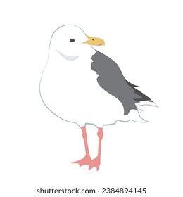 Illustration of great grey gull, Vector illustration