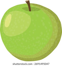 Illustration of a green apple